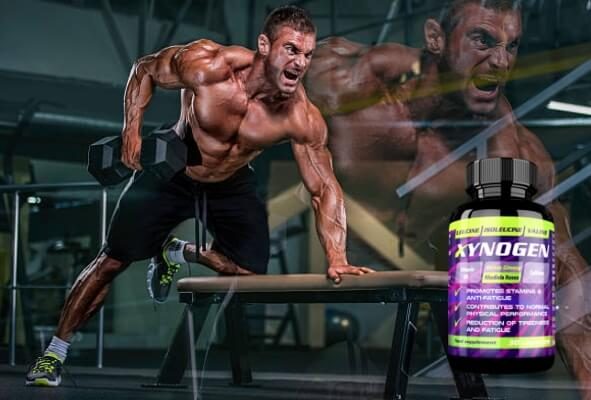 Xynogen - Cijena u Hrvatskoj