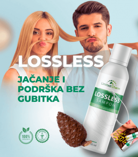 Što je Lossless